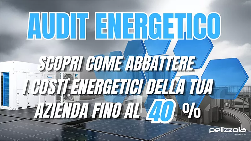 Pelizzola Agenzia Daikin per Modena e Reggio Emilia Logo